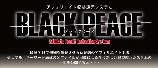 �A�t�B���G�C�g���v�Ҍ��V�X�e���@BLACK�@PEACE���u���b�N�s�[�X��