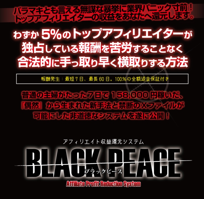 �A�t�B���G�C�g���v�Ҍ��V�X�e���@BLACK�@PEACE���u���b�N�s�[�X��