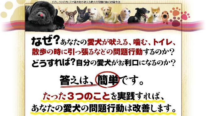 �y�������z���{��̃J���X�}�P���m���䑏�̌��̂����c�u�c