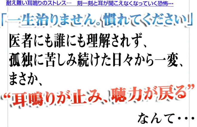 サトウ式耳鳴り・難聴・めまい改善術
