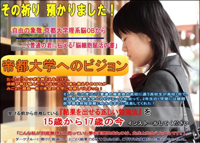 帝都大学へのビジョン